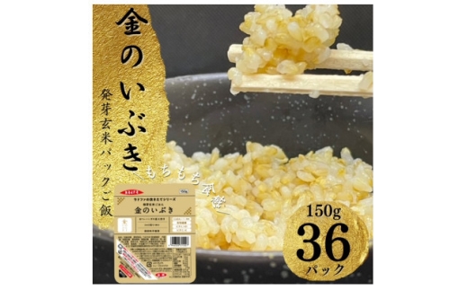 ＜宮城県産玄米＞金のいぶき　発芽玄米パックごはん(150g×12個)×3セット【1676119】