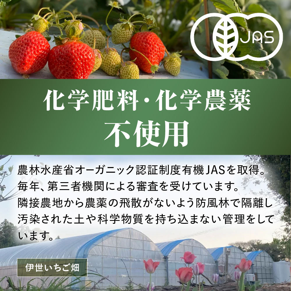 オーガニックあまおう 「いせいちご」 おまかせ4パック（MIX）【伊世いちご畑】_HA1018