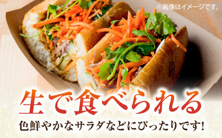 【先行予約】【数量限定】レインボー　人参セット　約2kg（10月〜6月）【鈴也ファーム】[AKCE014]