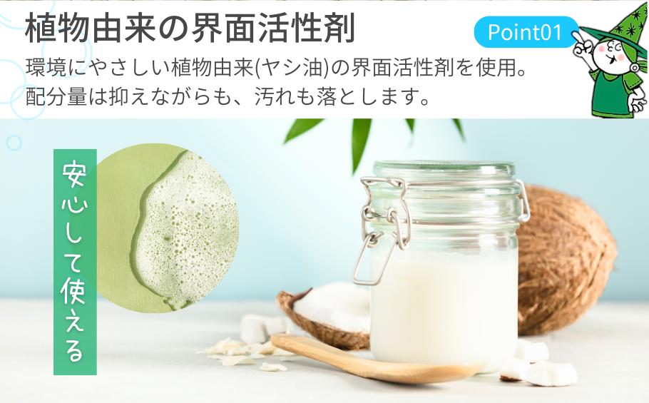 ＜3ヵ月毎定期便(全4回)＞環境配慮型洗剤緑の魔女ランドリー5L×1本 | 茨城県 龍ケ崎市 洗剤 液体 液体洗剤 環境配慮 エコ やさしい 洗濯 洗濯洗剤 衣類 汚れ よごれ 油汚れ 皮脂 皮脂汚れ