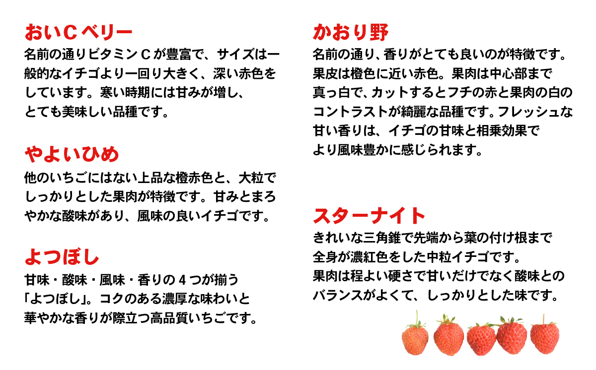 【 先行予約 2025年1月中旬以降発送 】 数量限定 農家直送 ♪ 八千代町産 いちご ボリュームパック （ 4パック 計約 1400g ） 人気 の 詰め合わせ セット [AJ002ya]