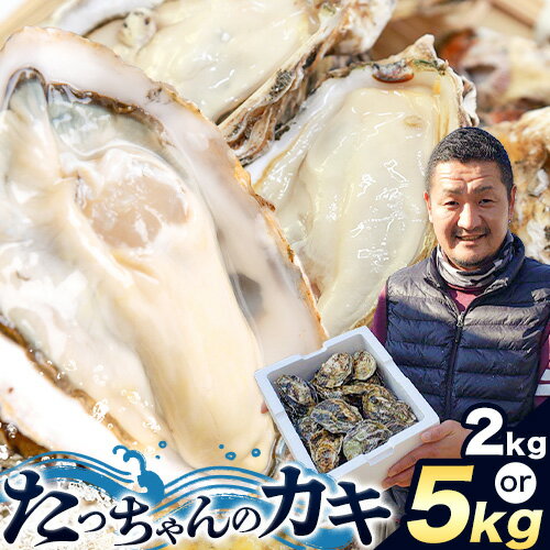 【ふるさと納税】【牡蠣-1グランプリ受賞】牡蠣 加熱用 カキ たっちゃんのカキ 選べる内容量 2kg 5kg 松崎竜義 令和7年産先行受付《1月上旬-4月上旬頃出荷》岡山県 備前市 送料無料 かき 初代王者 カキフライ カキ鍋 焼き牡蠣 お取り寄せグルメ 海鮮