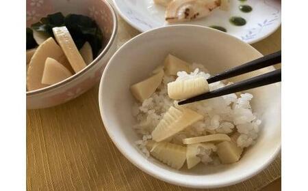 貝塚市木積産　特選朝掘り筍　約２kg / たけのこ筍 徳用たけのこ筍 木積産たけのこ筍 貝塚産たけのこ筍 朝堀りたけのこ筍 限定品たけのこ筍
