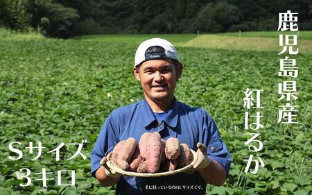 さつまいも 紅はるか 堀りたて 3kg ( 1箱 ) Sサイズ 新物 鹿児島県産 2024年12月末までに出荷【さつまいも 紅はるか 堀りたて 新物 鹿児島県産 3kg ( 1箱 ) Sサイズ 先行予約 野菜 やさい 食品 人気 おすすめ 送料無料 AX72201 南大隅町】