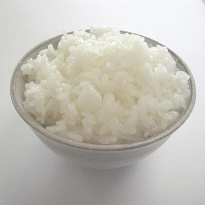 ふるさと納税 常陸太田市 黄門米コシヒカリ白米5kg×2 |  | 03