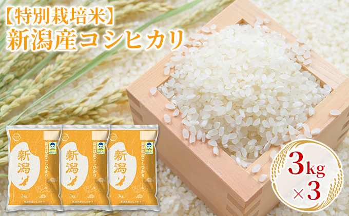 【特別栽培米】新潟産コシヒカリ 3kg×3 お米 精米 白米 ご飯 ブランド米 銘柄米 おにぎり お弁当 産地直送