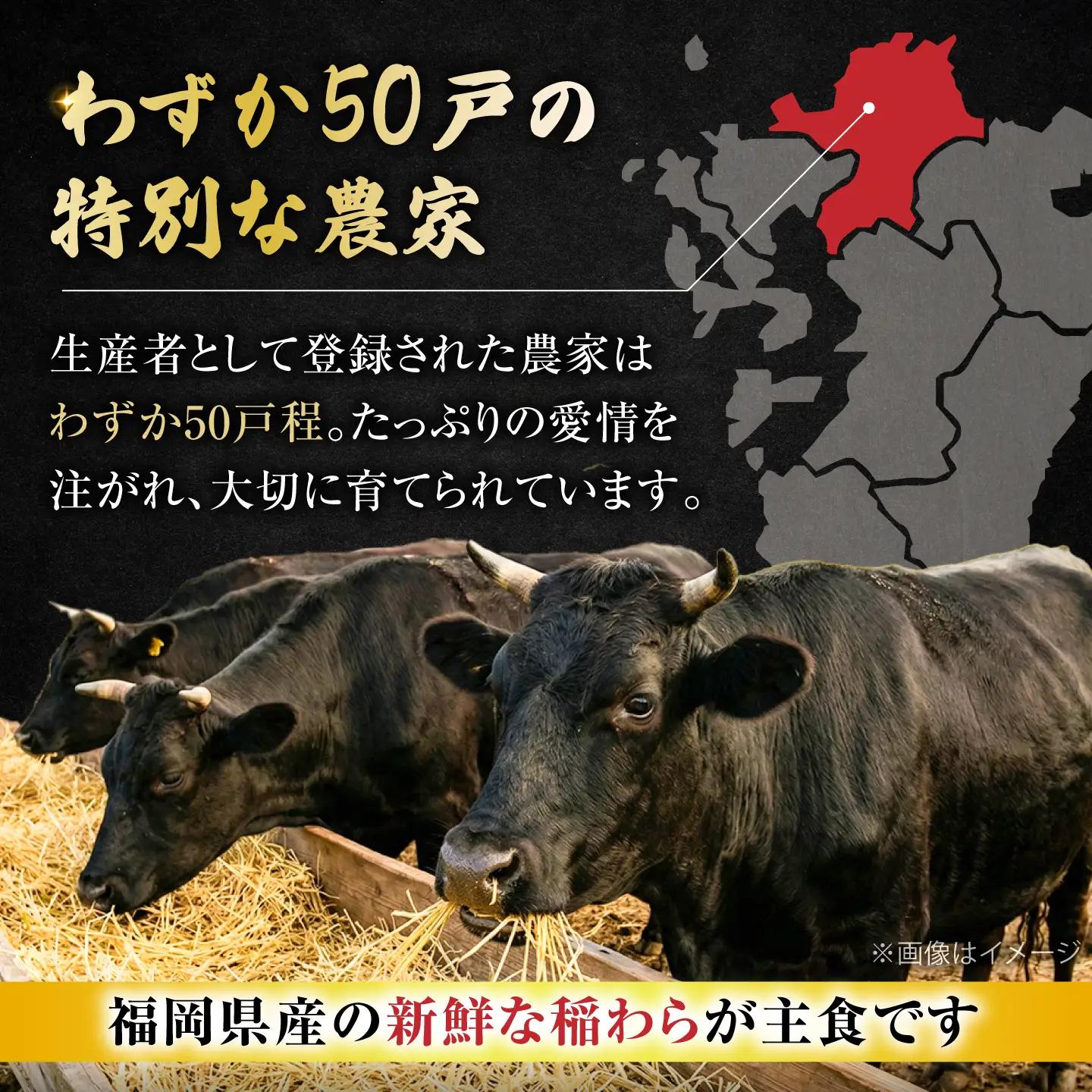博多和牛 牛肉 ミンチ 1kg  VFD003 ミンチ