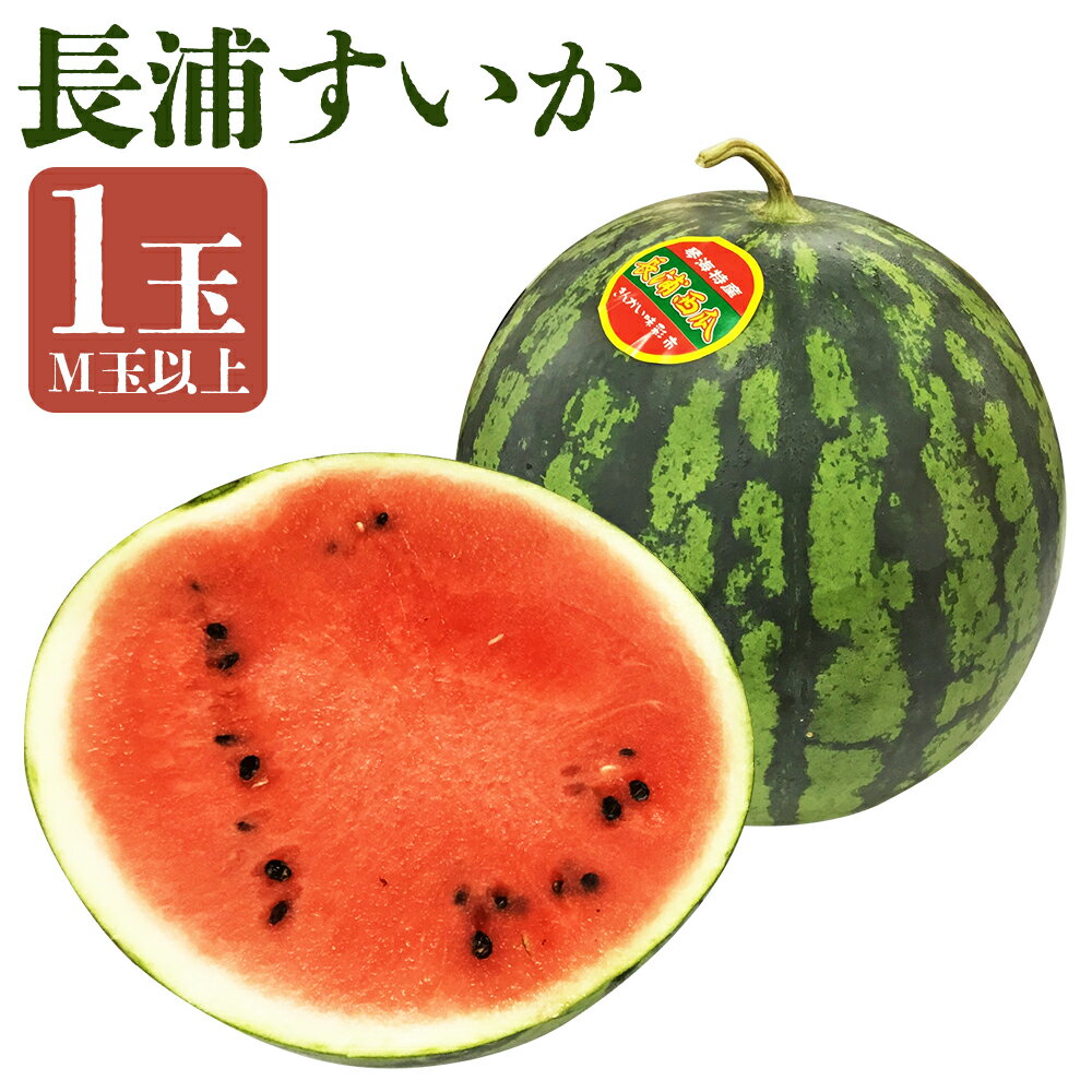 【ふるさと納税】長浦すいか 1玉 M玉以上 西瓜 すいか 果物 フルーツ 長崎県産 九州産 送料無料 【2025年6月上旬～6月下旬に順次発送予定】