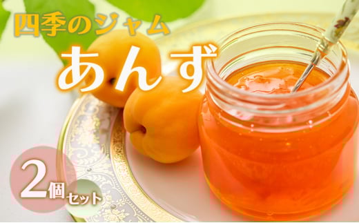 ジャム 長野 四季のジャム あんず 2個 セット 飯島商店 あんずジャム 朝ごはん 朝食 パン フルーツ 果物 デザート スイーツ ギフト プレゼント 贈答 贈り物 調味料 加工食品 アンズジャム アンズ 杏 杏子 長野県 上田市 上田 [№5312-1024]
