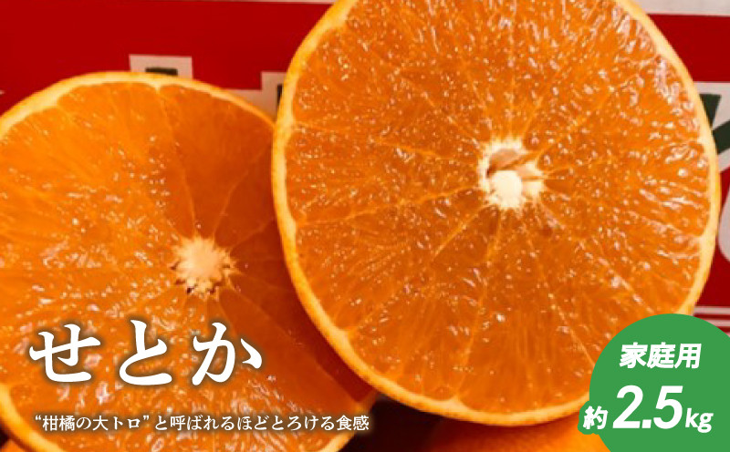 
            【2月下旬頃より発送】 せとか 約 2.5kg 家庭用 ( みかん せとか  柑橘  家庭用 みかん 1kg 以上 おすすめ 松山市産せとか 柑橘の大トロ「せとか」 柑橘 みかん ミカン せとか 優品せとか ふるさと納税せとか みかん 柑橘 田村農園のせとか ふるさと納税みかん セトカ おススメのせとか 家庭用柑橘 ご家庭用みかん 御家庭用せとか )
          