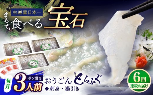 【全6回定期便】活〆おうごんとらふぐ 刺身 セット（3人前） 平戸市 / 松永水産 [KAB277]おうごんとらふぐ 刺身 通販 お取り寄せ 長崎 高級魚 海鮮 グルメ ごちそう トラフグ ふぐ