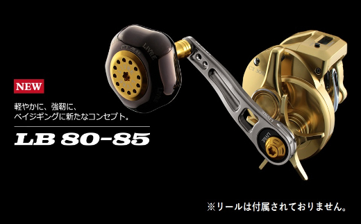 LIVRE リブレ LB 80-85(ダイワB2)（ガンメタ×ブルー） F24N-481