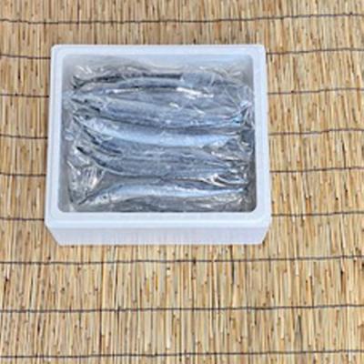 ふるさと納税 根室市 【年内配送可】★冷凍さんま5尾×12P(計60尾) D-76001 |  | 01