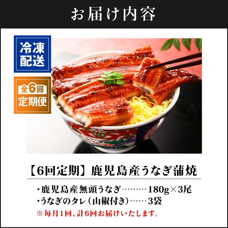 【 全6回 定期便 】 鹿児島産 うなぎ 蒲焼 180g×3尾 清らかな 地下水 育ち！ KN021-T38 ウナギ 鰻 冷凍