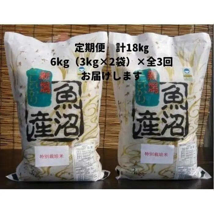 【令和７年】３か月定期便　がんこおやじが作った南魚沼産コシヒカリ白米６kg（３kg×２袋） | 白米