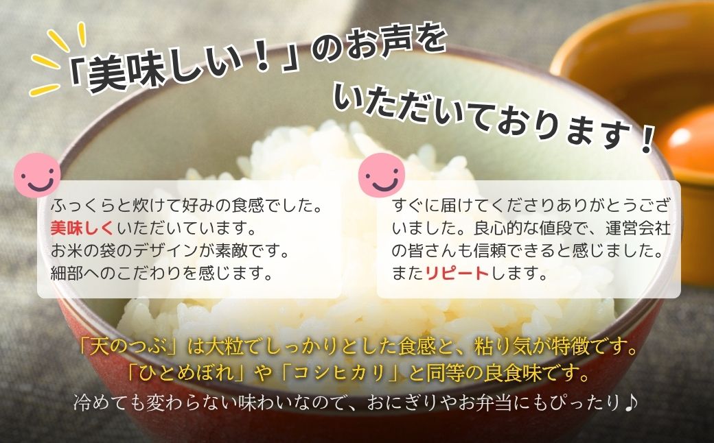 パックご飯 120食 (150g×24個×5ケース) 天のつぶ | パックご飯 ごはん パックごはん パックライス ごはんパック パック米 ご飯 レトルトご飯 レトルトごはん レンチン ブランド米 米