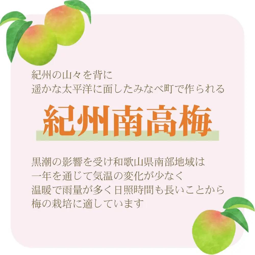 訳あり 梅干し　ご家庭用 紀州南高梅 はちみつ漬つぶれ梅 1.2kg （600g×2パック）