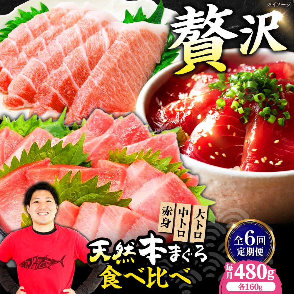 【ふるさと納税】【全6回定期便】極上！たね熟天然本まぐろ赤身＆中トロ＆大トロセット(各160g 計480g)　大阪府高槻市/本まぐろ直売所[AOCE044]