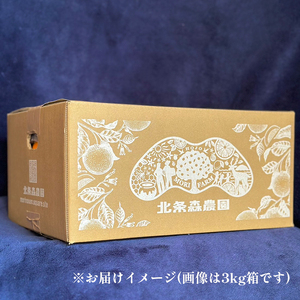 【2027年1月中旬から発送予定】  いよかん 宮内伊予柑 3kg みかん 3kg みかん 愛媛 みかん 松山 みかん 農家直送 みかん 不揃い いよかん 家庭用 柑橘 愛媛 松山 北条 果物 フルー