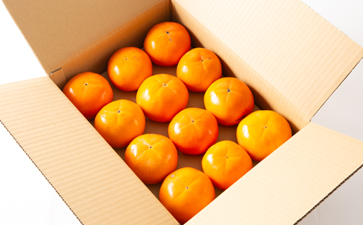 和歌山県産　美濃農園の富有柿　ご家庭用　12個(2Lサイズ程度)【配送不可地域：離島・北海道・沖縄県】