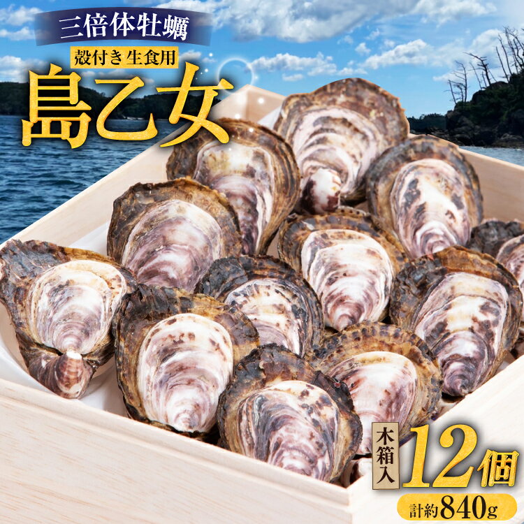 【ふるさと納税】 殻付き牡蠣 生食用 三倍体牡蠣 島乙女 約840g 12個入 [カネキ水産 宮城県 気仙沼市 20565985] 牡蠣 期間限定 冷蔵 新鮮 濃厚 カキ かき 生牡蠣 魚貝類 貝 海鮮 魚介類 なべ カキフライ 牡蠣ご飯 魚介