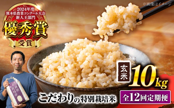 
                  【先行予約】【2026年10月下旬より順次発送】【令和8年度】 【全12回定期便】 くまさんの輝き 玄米 10kg 計120kg【坂本農園】 [AYCC038-8]
                