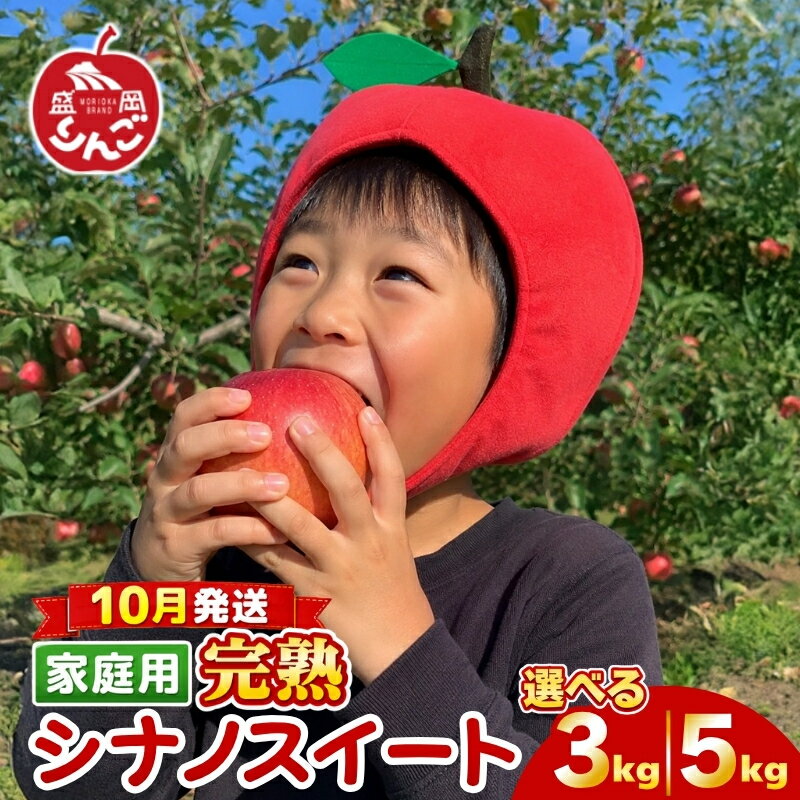 【ふるさと納税】 先行予約 訳あり りんご 3kg 5kg シナノスイート 家庭用 ＜10月発送＞ 農家直送 期間限定 季節限定 果物 フルーツ 林檎 国産 産地直送 くだもの デザート ご当地 新鮮 甘い 酸味 果汁 秋 岩手県 盛岡市 東北 岩手 盛岡 田村ふぁーむ tamura005P