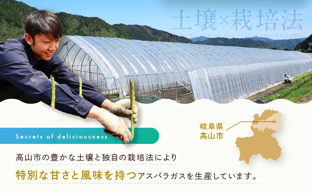 【2025年発送】ひだっこアスパラ 500g | アスパラ アスパラガス 飛騨産 野菜 春  夏野菜  産地直送 新鮮 食品 おいしい 人気 飛騨高山 ひだっこの里 CM007