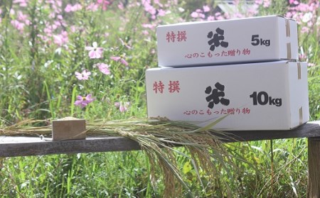 特別栽培メダカ米(玄米)10kg［0509］