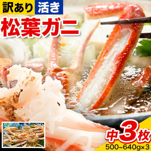 【ふるさと納税】【活き】訳あり 松葉ガニ 中 3枚(1枚/500〜640g前後) 高間商店《11月中旬-3月下旬頃出荷》鳥取県 八頭町 送料無料 カニ 蟹 かに 訳あり 鍋 珍味 冬 グルメ ズワイガニ