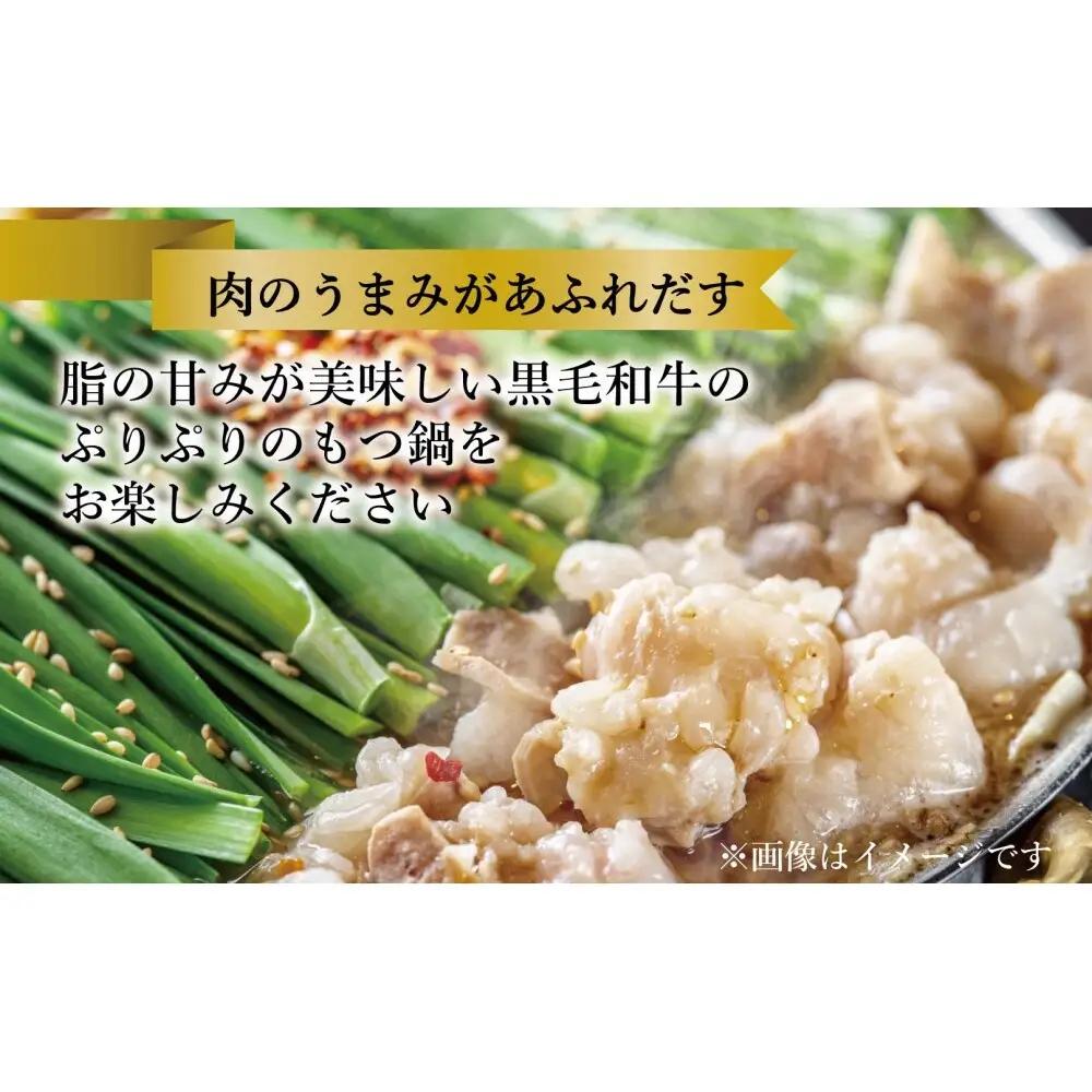 定期便 3回 【福岡市】 黒毛和牛 もつ鍋 白濁 鶏ガラスープ醤油スープ 3～4人前セット