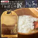 【ふるさと納税】※令和6年産 新米予約※【3ヶ月定期便】秋田県産おばこの匠あきたこまち　5kg （5kg×1袋）白米