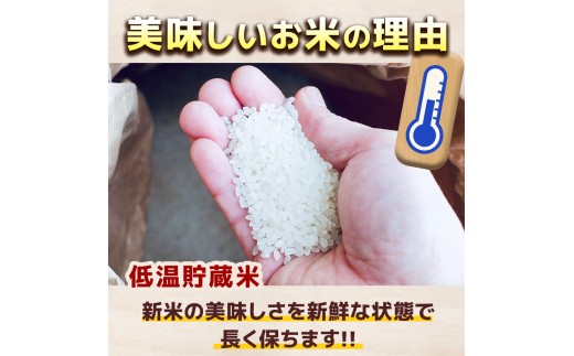 【定期6回】新米 令和8年度 栃木県産 こしひかり 白米 5kg × 4袋 （合計20kg） | ふるさと 納税 コシヒカリ お米 精米 白米 玄米 大粒 共通返礼品 送料無料 那珂川町 栃木県【栃木