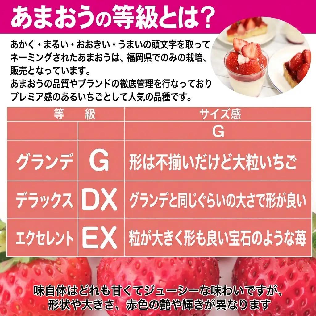 あまおう M～L 約1.04kg 約260g×4パックあまおう 果物 苺