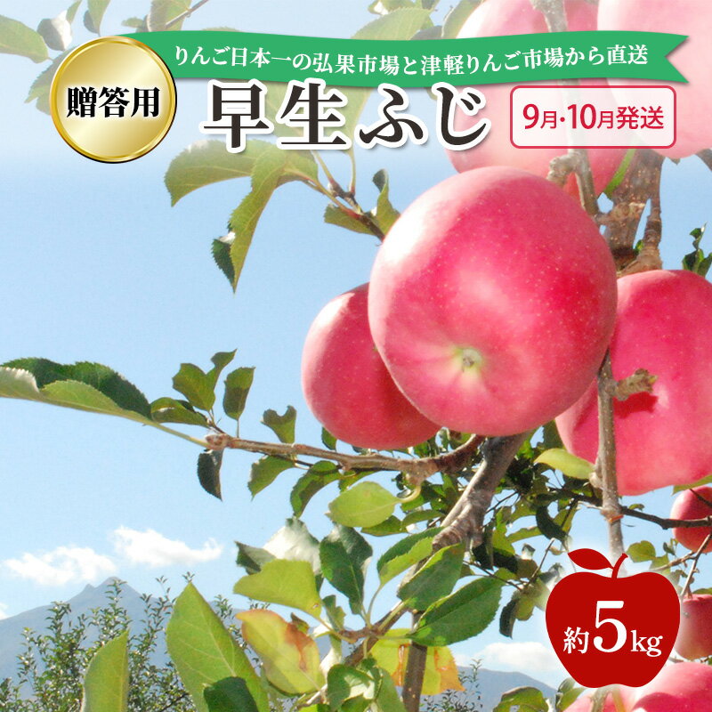 【ふるさと納税】【 9月・10月発送 】 贈答用 早生ふじ 約 5kg 【 青森県鶴田町産 りんご 青森りんご 】果物類 フルーツ 林檎 リンゴ 鶴田町 青森県 おやつ デザート　お届け：2025年9月25日～2025年10月18日