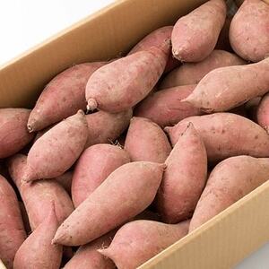 【先行予約】本場鹿児島さつまいも【マロンスイート】6kg AA-268　2024年10月上旬より発送【1167095】