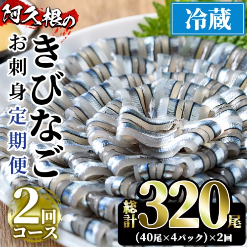 ＜定期便・全2回(冷蔵便)＞鹿児島県産！阿久根のきびなごお刺身セット(40尾×4P×2回) 国産 魚介 おつまみ おかず 頒布会 青魚 子魚 小分け【椎木水産】a-23-4