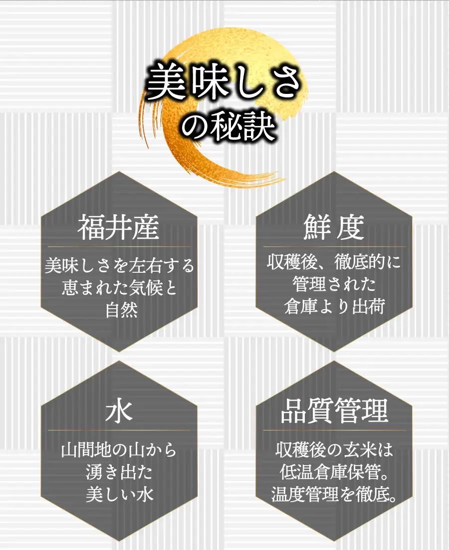【定期便12回】ハナエチゼン 無洗米 3kg（1kg×3）令和8年産 [095-t12-a328]
