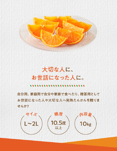 【 先行予約 】《 児玉柑橘園 》 奄美 完熟 たんかん 優品 10kg （ L ～ 2L ） A061-003 奄美産 家庭用 贈答用 光センサー 柑橘 果物 奄美のみかん 厳選 糖度10.5度以上