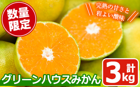 No.148 《先行予約受付中！2025年8月以降に発送予定》期間限定！鹿児島県産 グリーンハウスみかん(計3kg) みかん ミカン 蜜柑 3kg 柑橘 果物 フルーツ 小ぶり 青果 果実 鹿児島 ギフト 贈答 プレゼント【黒川農園】