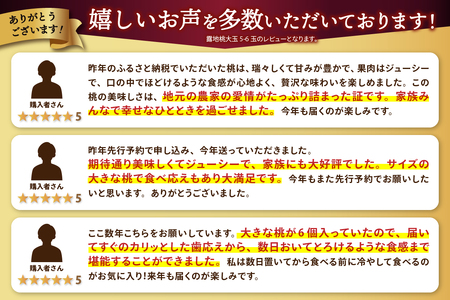 〈2026年度配送分〉露地桃大玉 5-6玉〈約1.8kg〉（2026年7月上旬～下旬にかけて順次配送予定）