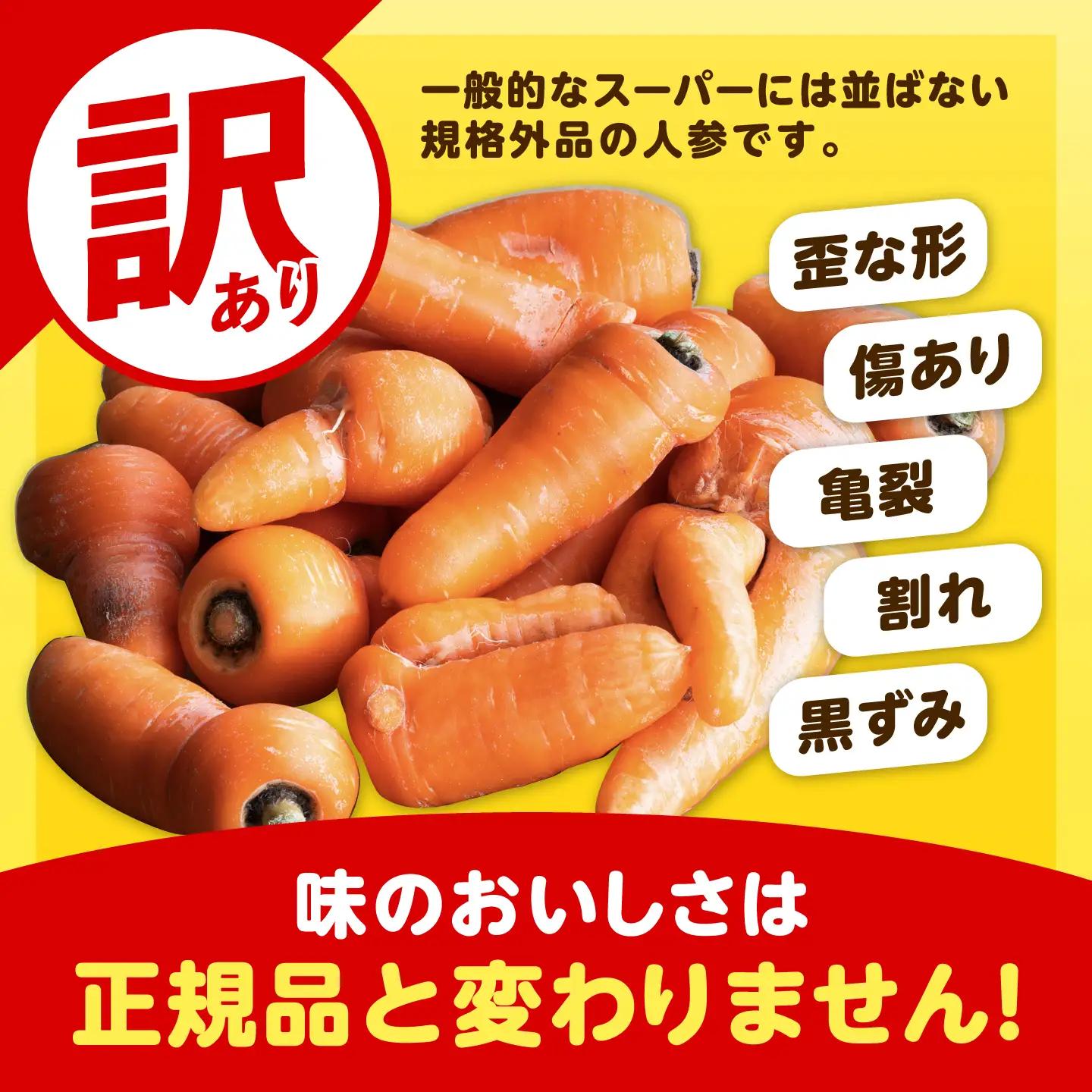 【先行予約】北海道 訳ありにんじん 1kg（土付き）にんじん [BEBA003]
