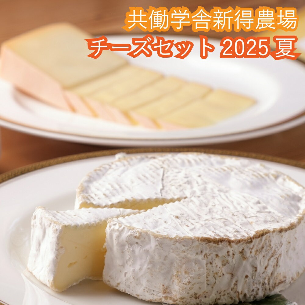 【ふるさと納税】共働学舎新得農場チーズセット 2025 夏 期間限定 数量限定 夏限定 毎週 北海道 新得町 共働学舎 十勝 チーズ ちーず 雪 ラクレット プチプレジール フロマージュブラン フロマージュフレ 手造り 手作り ワイン おつまみ【F-1801】