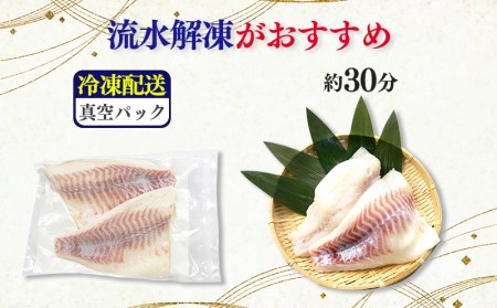 【価格改定予定】真鯛 刺し身 お刺身 3枚おろし 沼津産 500g  700g 1尾 真空パック