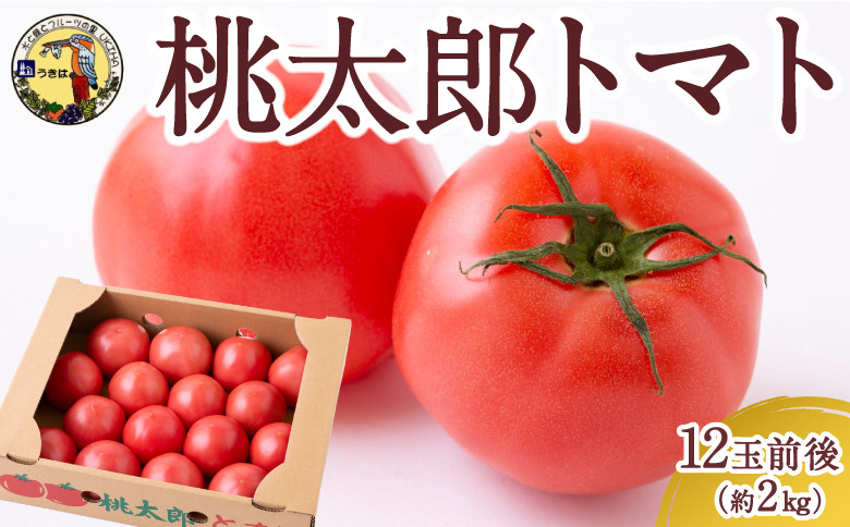 
            道の駅うきは 桃太郎トマト 12玉前後 (約2kg) 2024年12月1日〜12月30日、2025年1月5日〜5月20日 出荷予定
          