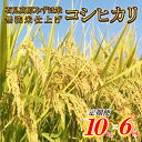 【ふるさと納税】令和6年産【定期便6回】石見高原みずほ米コシヒカリ 無洗米仕上 10kgx6回