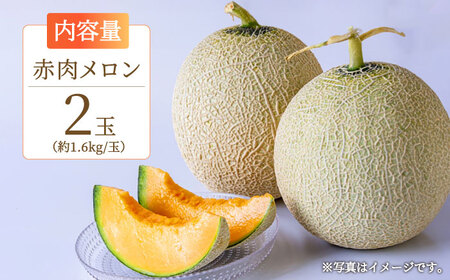 【2024年夏発送！絶品!!甘みたっぷり】ようてい赤肉メロン　約1.6kg×2玉