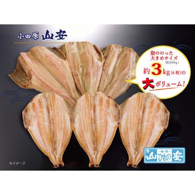 ふるさと納税 小田原市 【小田原　山安】大きな縞ほっけ開き干し　約3kg(6枚) |  | 01