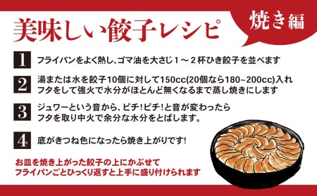 野菜 にんにく ぎょうざ 100個 小分け 冷凍 国産 ぎょうざ