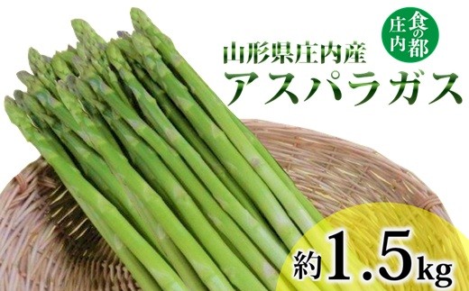 食の都庄内　庄内産アスパラガス　約1.5kg　※6月中旬頃より順次発送予定